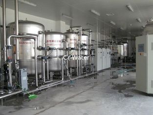 Pure Chemical Ro Water Treatment System Professional For Mineral Water