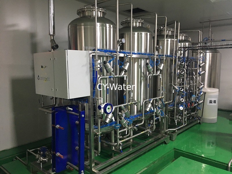 FDA cGMP GMP USP Standard Reverse Osmosis Purifier Water System For