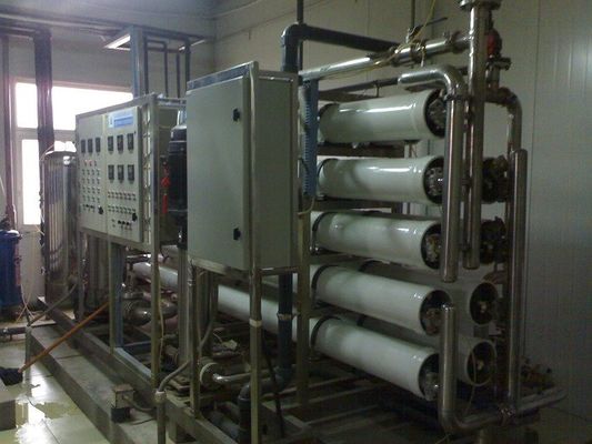 20 Ton/Hour Stainless Steel Pure Water Treatment Plant for Food and Beverage Industry