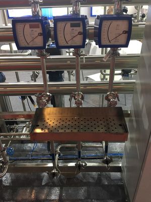 water purification system pharmaceutical industry with DQ,IQ,OQ,FAT ,SAT,full Stainless Steel, Automatic control